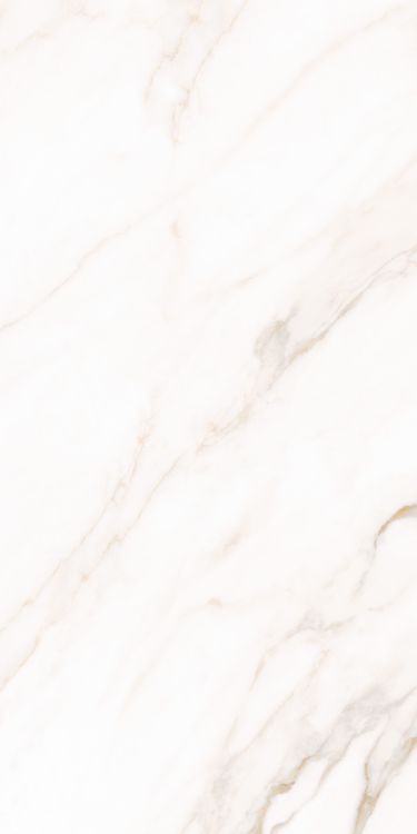 Classy Warm White Matte 24 x 48
